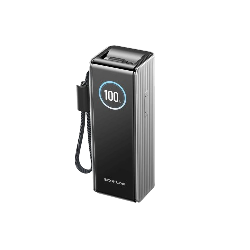 Павербанк EcoFlow RAPID Power Bank з кабелями 25000mAh сріблястий — EcoFlow