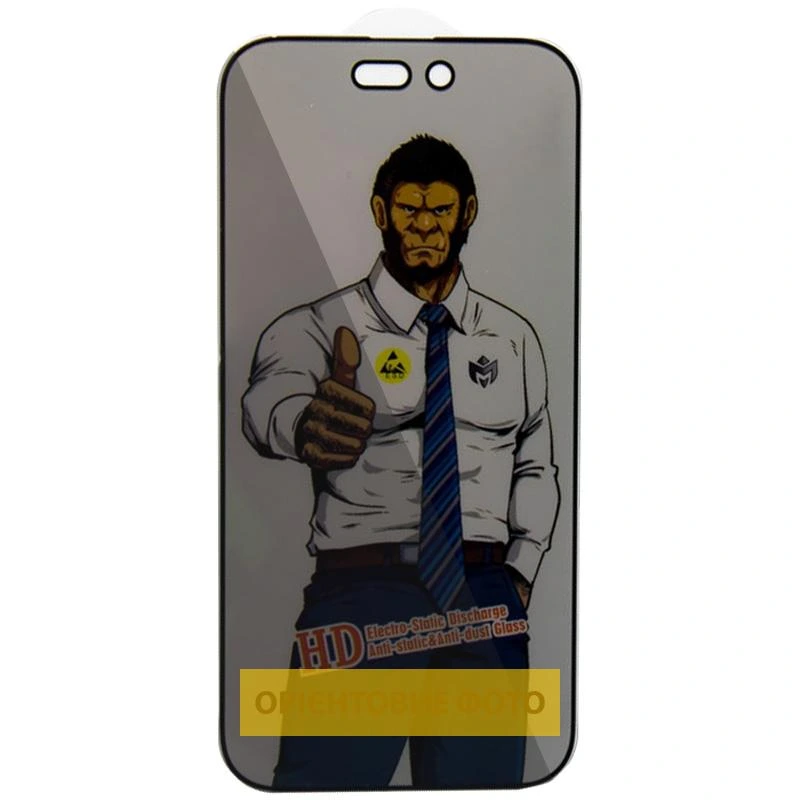 Захисне скло Privacy 5D Anti-Static (тех.пак) для Apple iPhone 17 / 16 Pro (6.3") Чорний