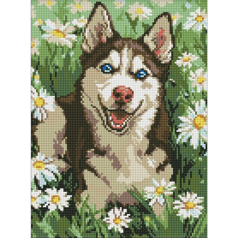 Алмазна мозаїка "Хаскі у квіточках" ©art_selena_ua Ідейка AMO20472, 30х40 см — Ideyka