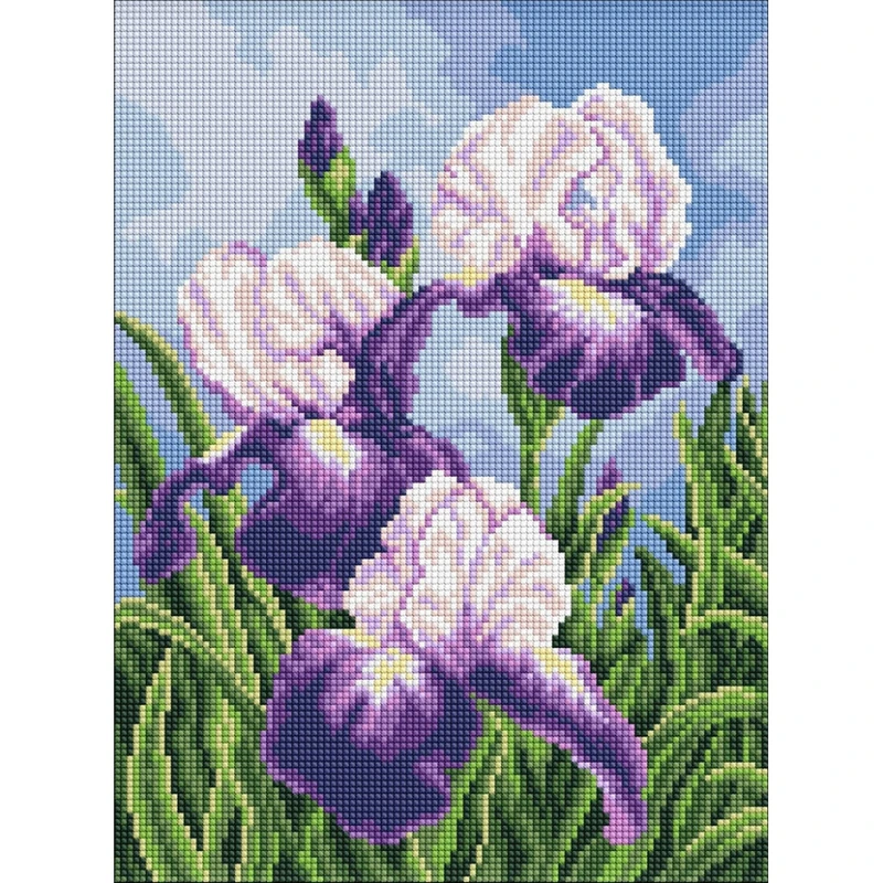 Алмазна мозаїка "Іриси просто неба" ©art_selena_ua AMO20470, 30х40 см