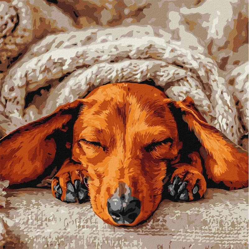 Картина за номерами "Солодкий спокій" ©art_selena_ua KHO6840, 40х40 см