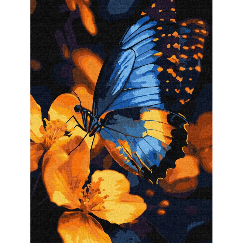 Картина за номерами "Мерехтіння крил" KHO6731, 30х40 см — Ideyka