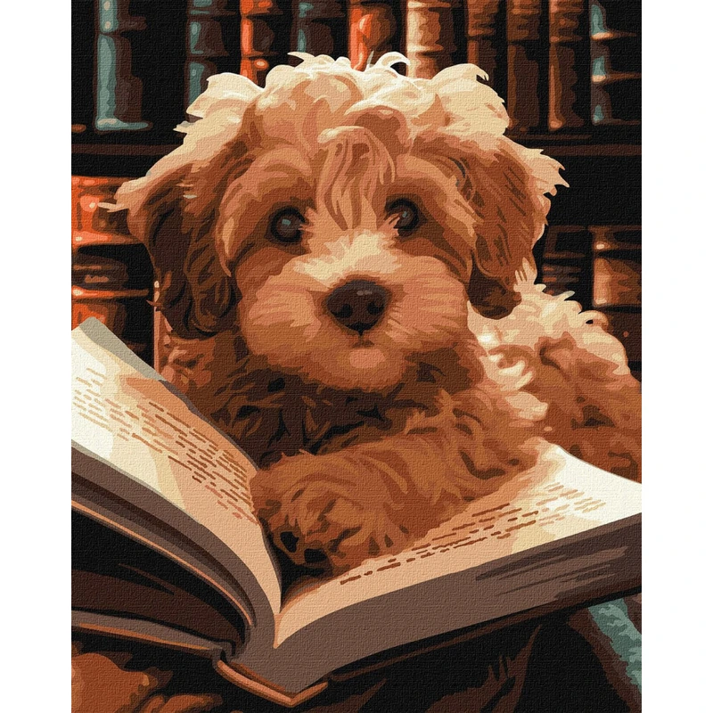 Картина за номерами "Пухнастий читач" KHO6587 40х50 см
