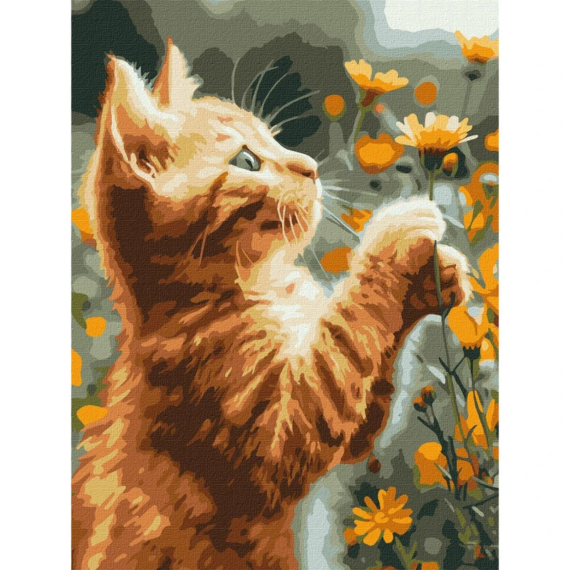 Картина за номерами "Рудий пухнастик" KHO6607 30х40 см