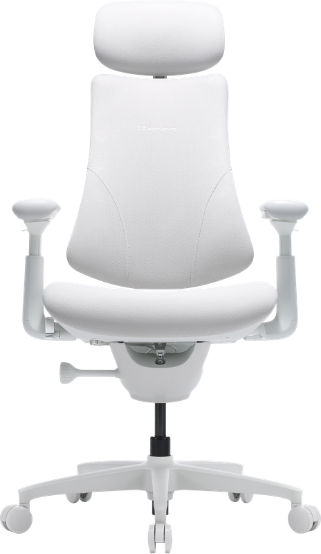 Крісло офісне ергономічне LiberNovo Omni Gen Glacier 48 см — LiberNovo