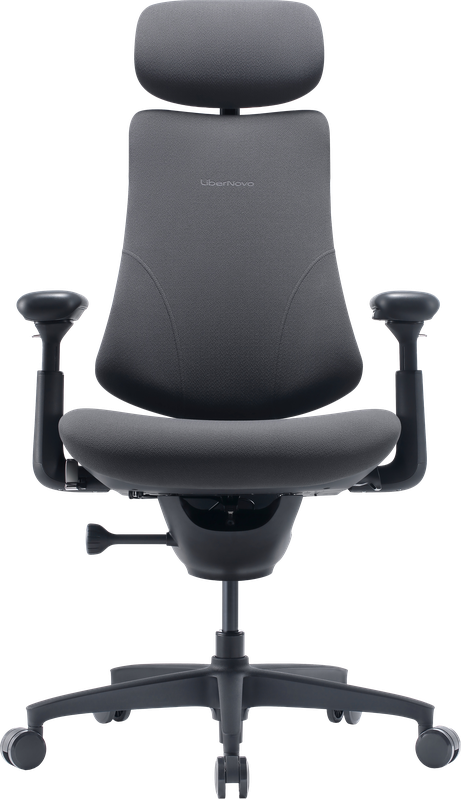 Крісло офісне ергономічне LiberNovo Omni Gen Graphite 48 см — LiberNovo