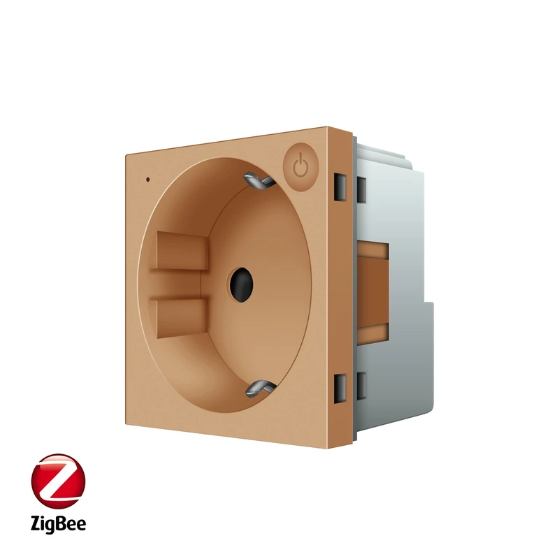 Розумна розетка LIVOLO ZigBee, з заземленням, золота, 16А 230В, керування через Alexa / Google Home / Home Assistant, модуль (VL-FCTC16AZ-2AP)