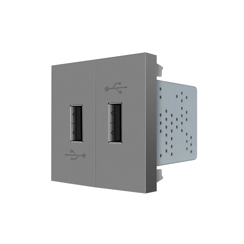 Подвійна розетка USB LIVOLO сіра, з блоком живлення 2×USB-A 5V/2.1A, 2×10Вт, модуль (VL-FCUA-2IP)