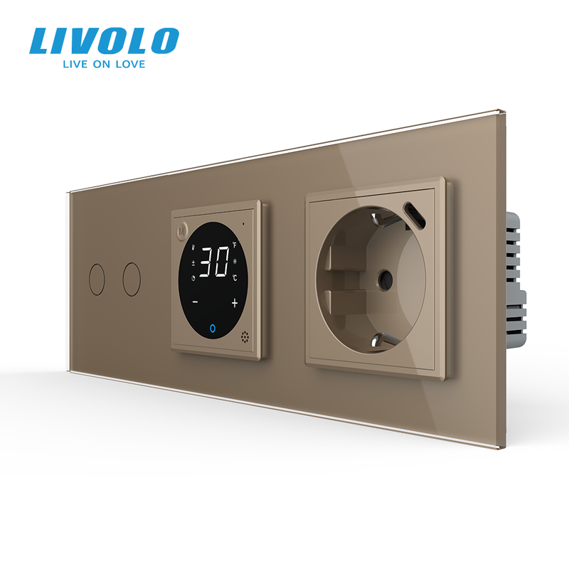 Подвійний сенсорний димер LIVOLO з терморегулятором та розеткою з USB Type-C 18Вт, заземлення, золотий, скло — Livolo