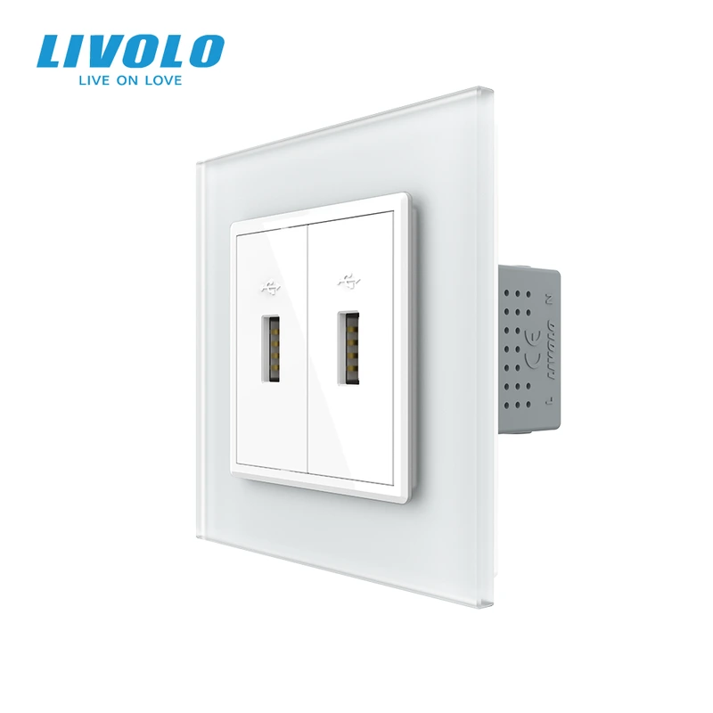 Розетка подвійна USB з блоком живлення LIVOLO біла матова скло