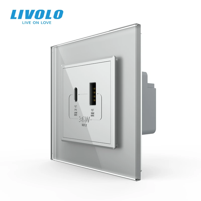 Розетка USB-A та USB-C з Power Delivery 36W LIVOLO сіра 2.5D скло