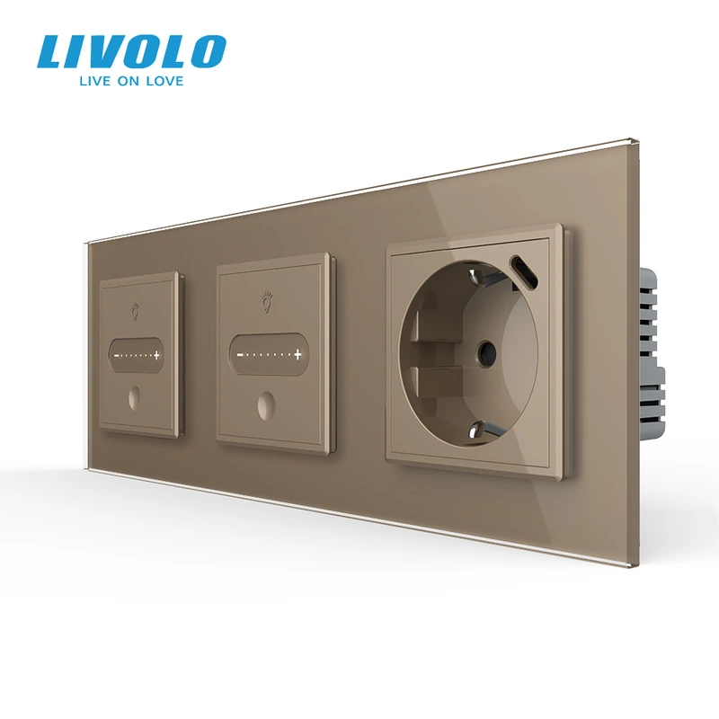 Розумний сенсорний димер LIVOLO 2 сенсори (1-1) з розеткою з USB Type-C 18Вт, золото скло, заземлення