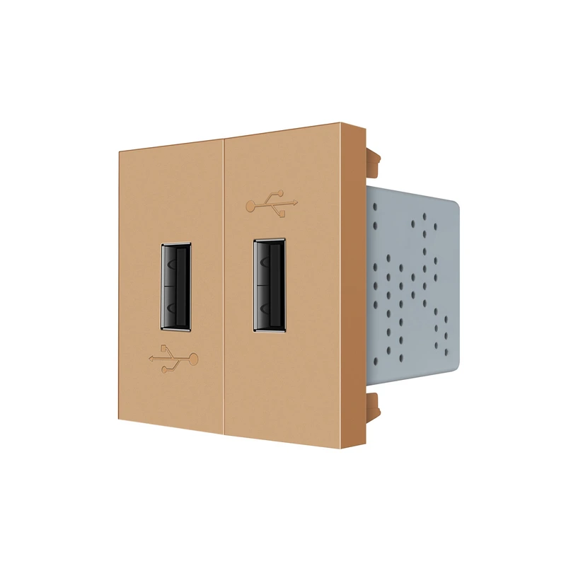 Подвійна розетка USB LIVOLO золота, з блоком живлення 2×USB-A 5V/2.1A, 2×10Вт, модуль (VL-FCUA-2AP)