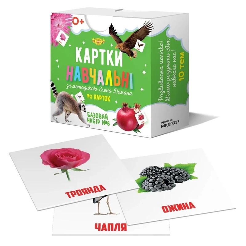 Картки навчальні Глена Домана №6 Майстер MKD0013 укр — Майстер