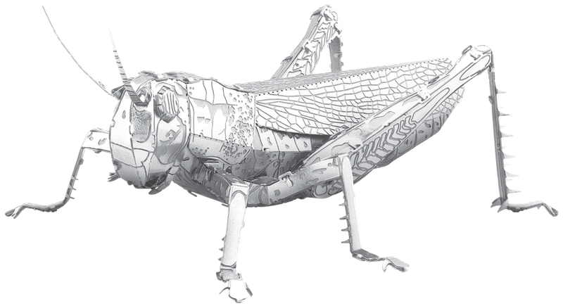 Металевий 3D конструктор "Коник", Metal Earth, ME1033