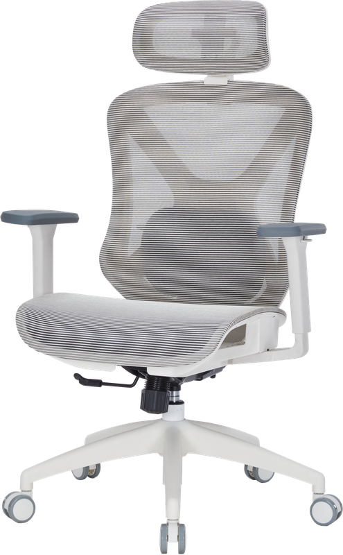 Крісло офісне Officepro Atlas OC630-W-LG-LG