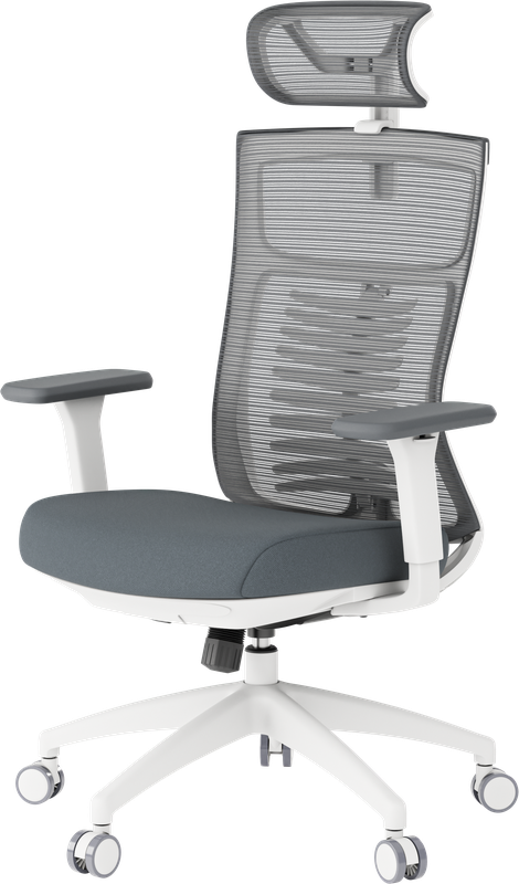 Крісло офісне OfficePro Balance OC550-W-DG-DG