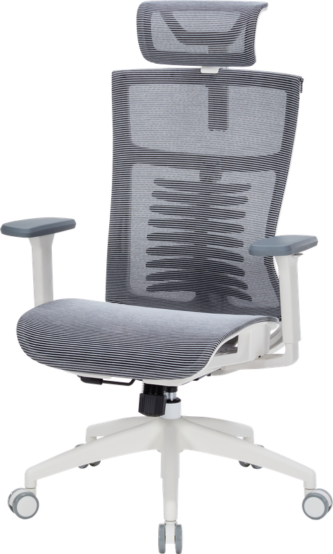 Крісло офісне OfficePro Balance OC620-W-DG-DG