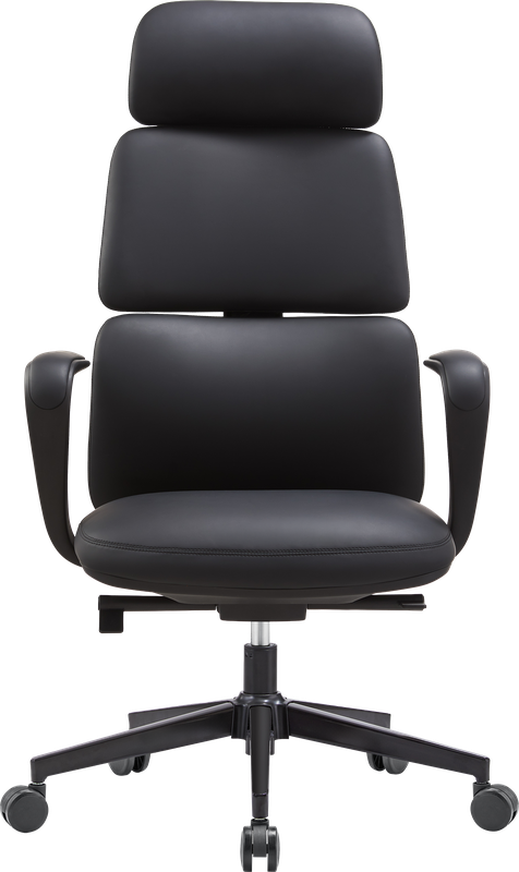 Крісло офісне OfficePro Delicate OC690BK Black PVC