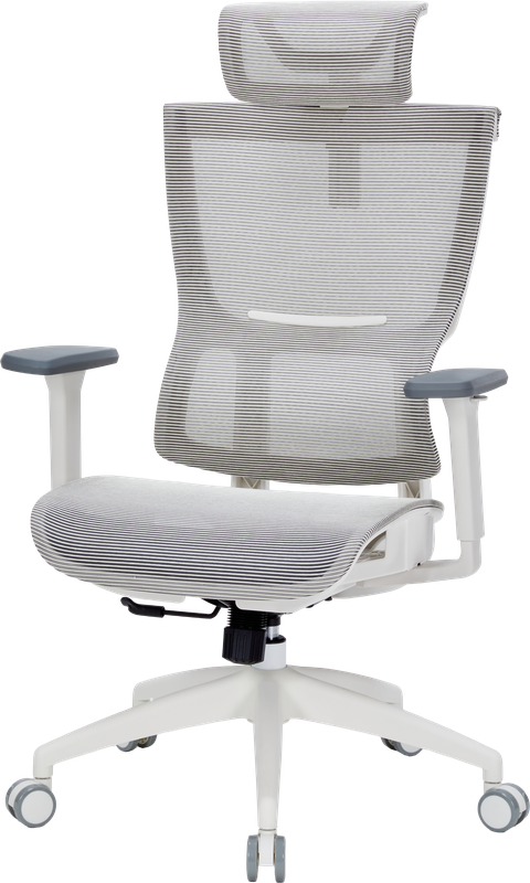 Крісло офісне OfficePro Elegant OC660-W-LG-LG