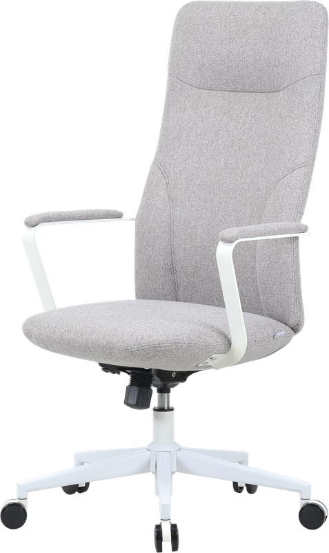 Крісло офісне OfficePro Shift OC545G Gray