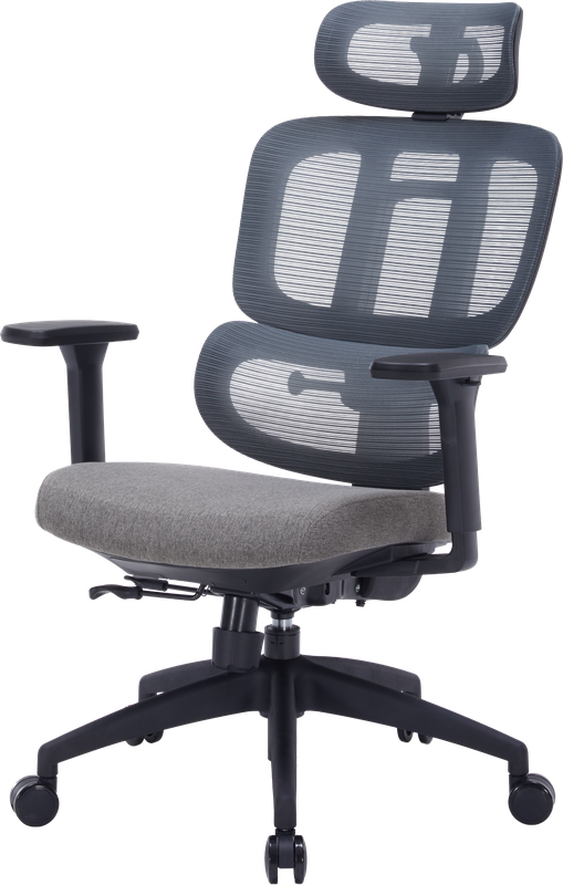 Крісло офісне OfficePro Skyline OC580-B-DG-DG