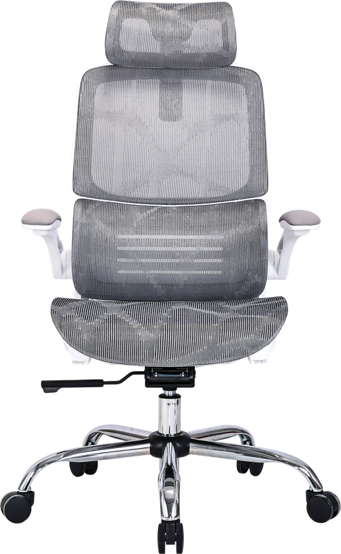 Крісло офісне OfficePro Verto OC570G