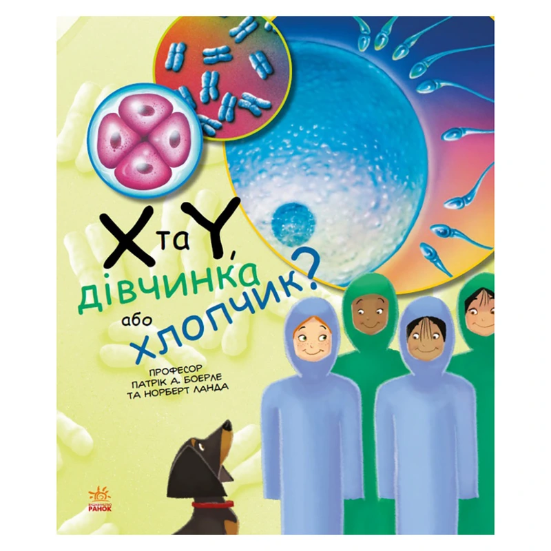 Навчальна книга "Генетика для дітей: X та Y, дівчинка чи хлопчик?" 1354004, 36 сторінок — Ranok Creative