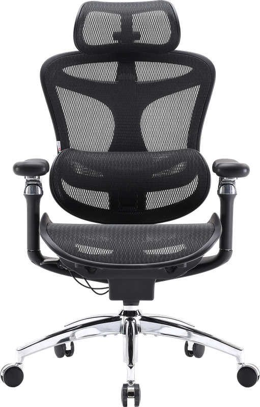 Крісло офісне Sihoo DORO C300 Pro Mesh Black