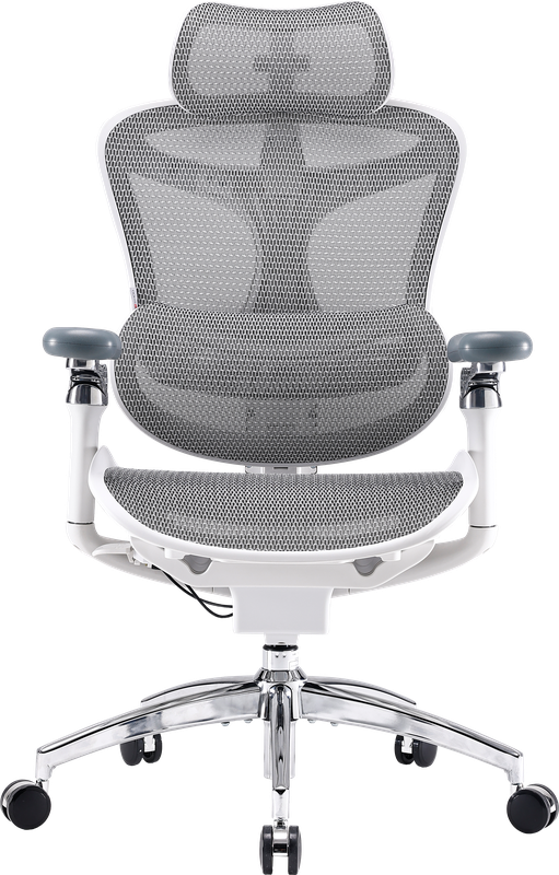 Крісло офісне Sihoo DORO C300 Pro Mesh White