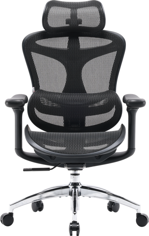 Крісло офісне Sihoo DORO C300L Mesh Black — Sihoo