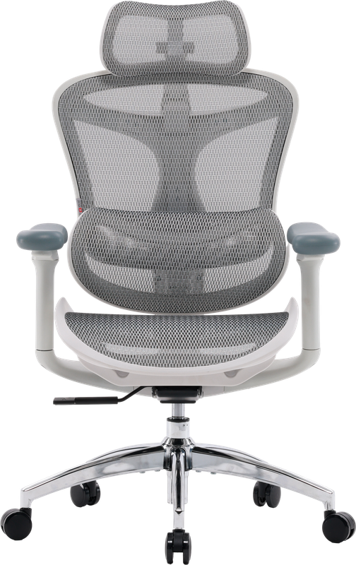 Крісло офісне Sihoo DORO C300L Mesh White