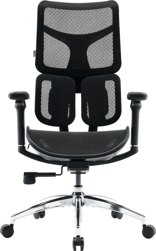 Крісло офісне Sihoo DORO S100 Mesh Black