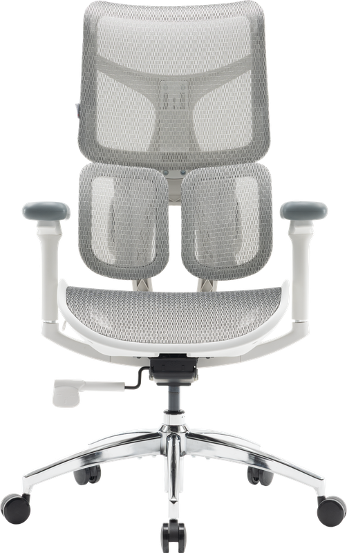 Крісло офісне Sihoo DORO S100 Mesh White