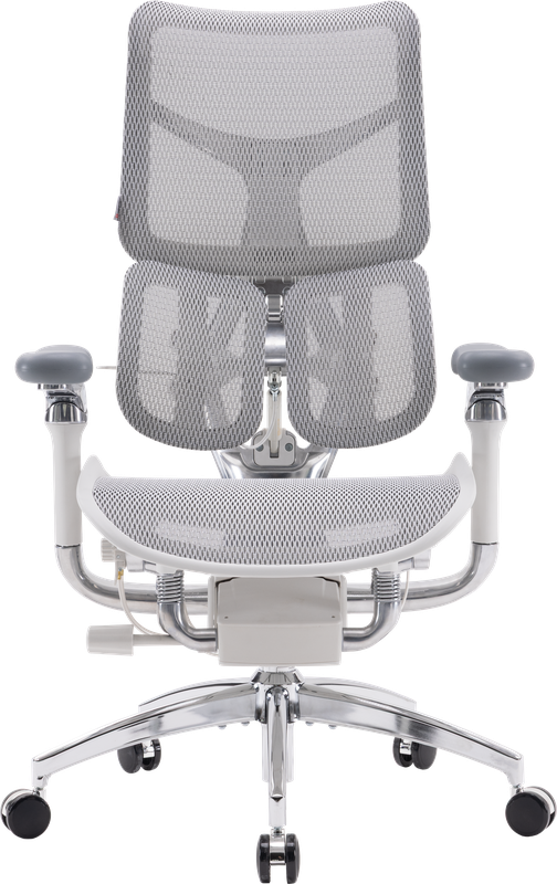 Крісло офісне Sihoo DORO S300 Mesh Light Grey