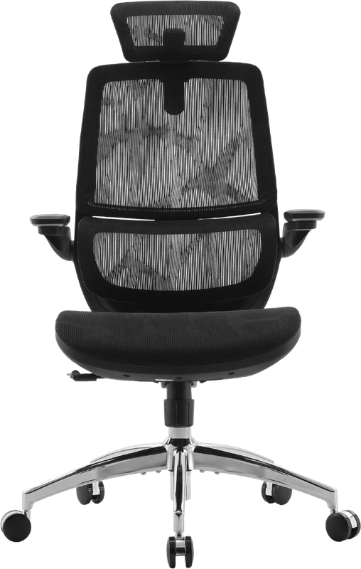 Крісло офісне Sihoo M59AS Mesh Black