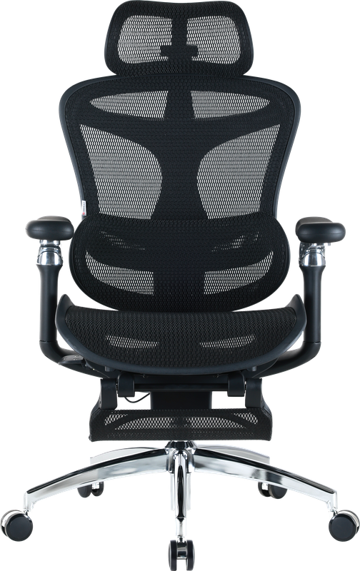 Крісло офісне з підставкою для ніг Sihoo DORO C300 Pro Mesh Black with footrest — Sihoo