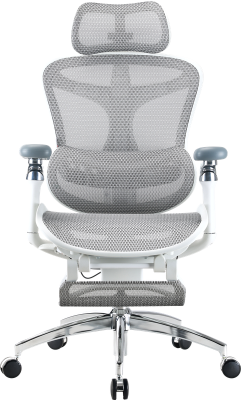 Крісло офісне з підставкою для ніг Sihoo DORO C300 Pro Mesh White with footrest — Sihoo