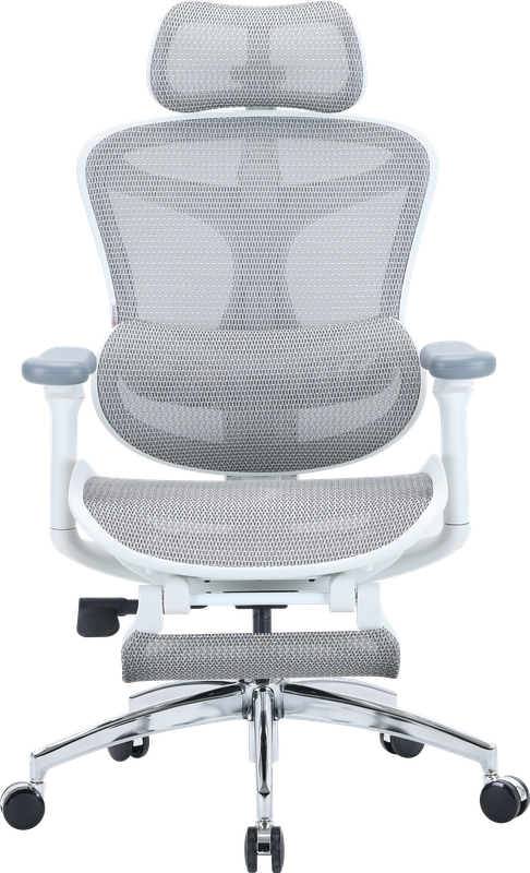 Крісло офісне з підставкою для ніг Sihoo DORO C300L Mesh White with footrest — Sihoo