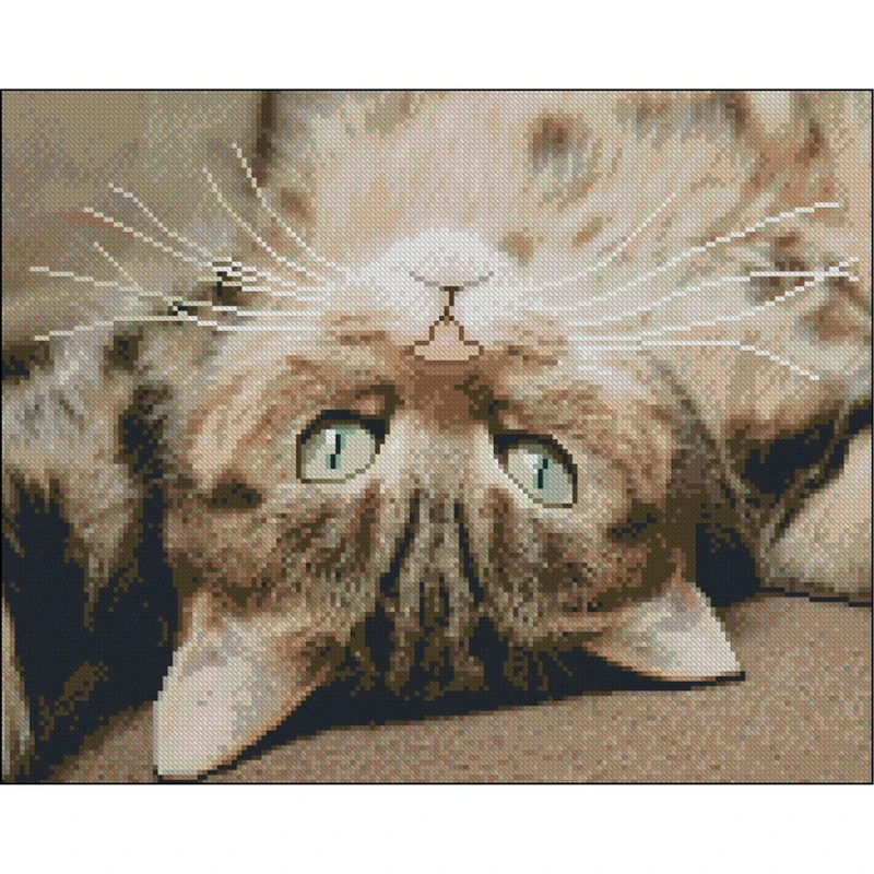 Алмазна мозаїка без підрамника "Грайливе щастя" ZAV4050-37, 40х50 см