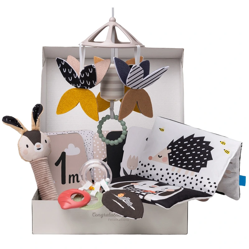 Подарунковий набір іграшок для новонародженого колекції "Садочок у місті" – ЧОРНО-БІЛА ГАРМОНІЯ