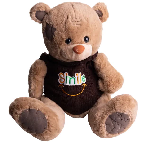 М'яка іграшка з пледом 110х140 см Ведмедик Тедді в коричневому светрі бежевий 509-35BRBR