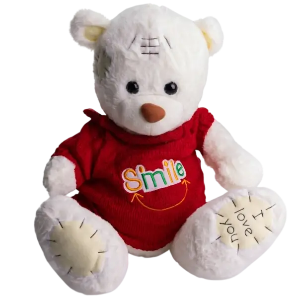 М'яка іграшка з пледом Ведмедик Тедді в червоному светрі білий 509-35WR