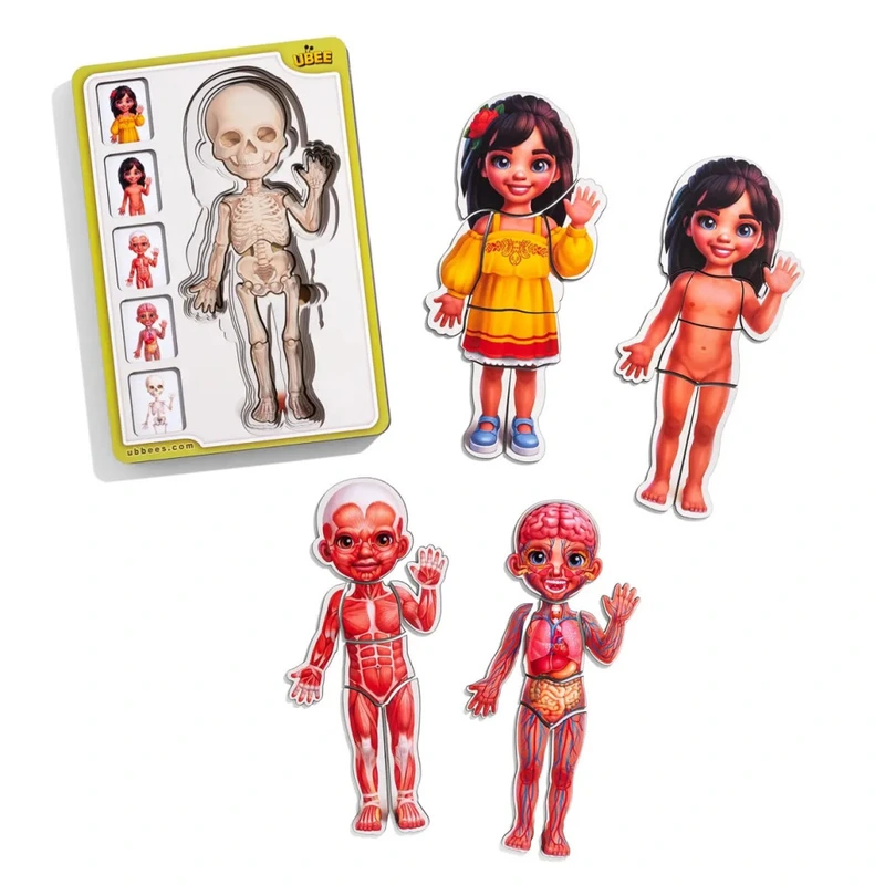 Дерев'яний пазл-вкладиш "Анатомія людини - дівчинка-2" (ПСД263) PSD263 будова тіла — Ubumblebees