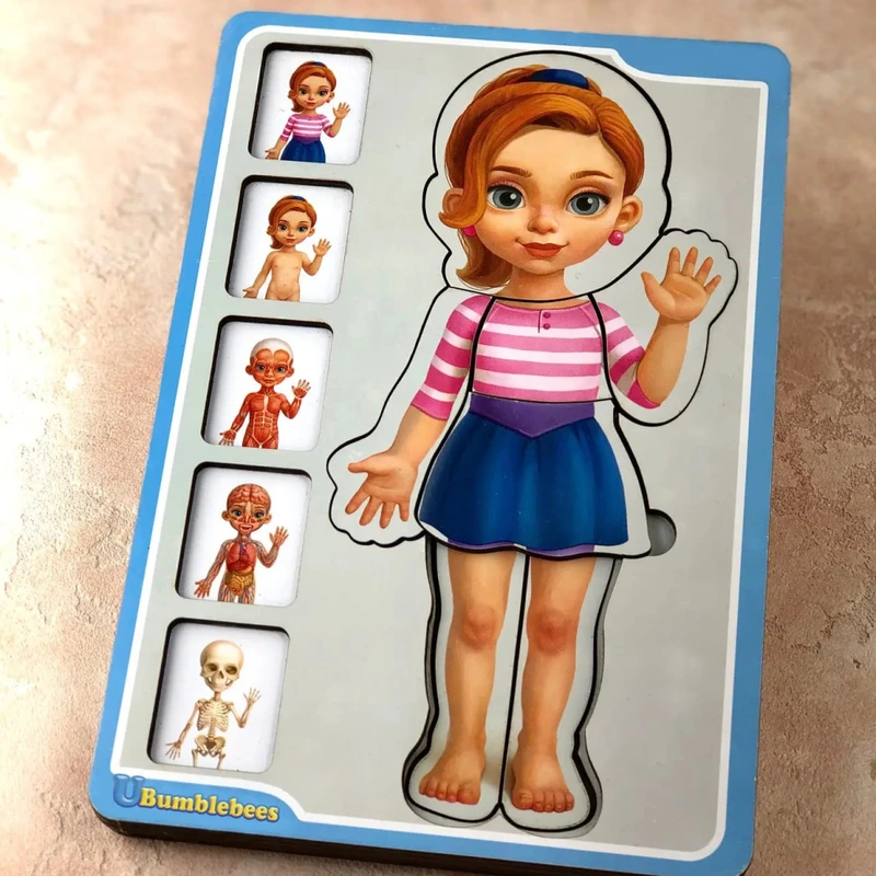 Дерев'яний пазл-вкладиш "Анатомія людини – дівчинка" Ubumblebees (ПСФ025) PSF025 будова тіла