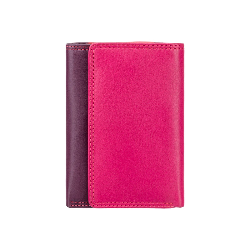 Гаманець жіночий Visconti RB39 Biola c RFID (Plum Multi)