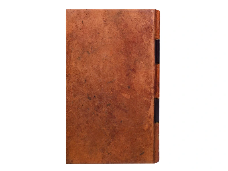 Тортуґа 1667 (Tortuga 1667)