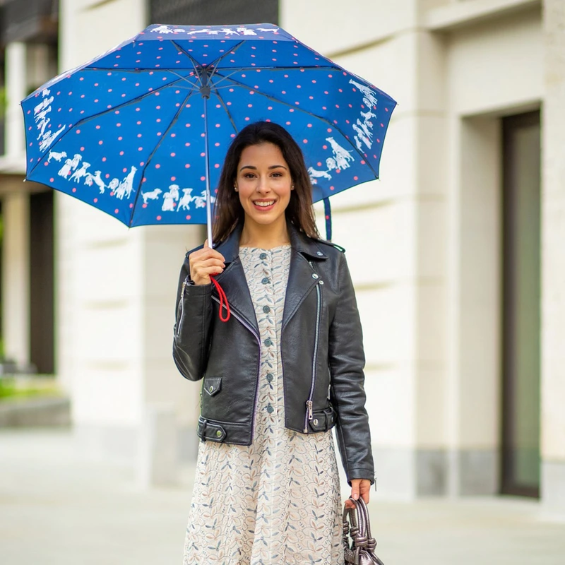 Парасолька жіноча Fulton L354-041185 Minilite-2 Milis Friends (Друзі Мілі)