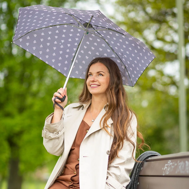 Парасолька жіноча Fulton L501-038697 Tiny-2 Sidney Squirrel (Білка)