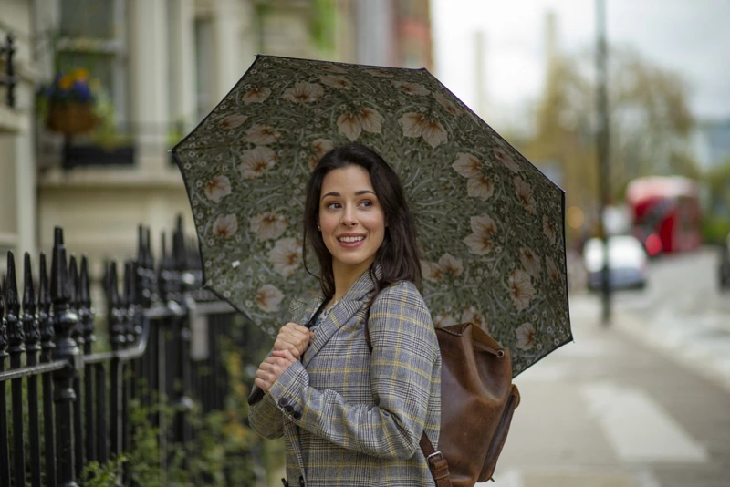 Парасолька жіноча Fulton L856-041062 Morris & Co. Bloomsbury Pimpernel Bayleaf Manilla